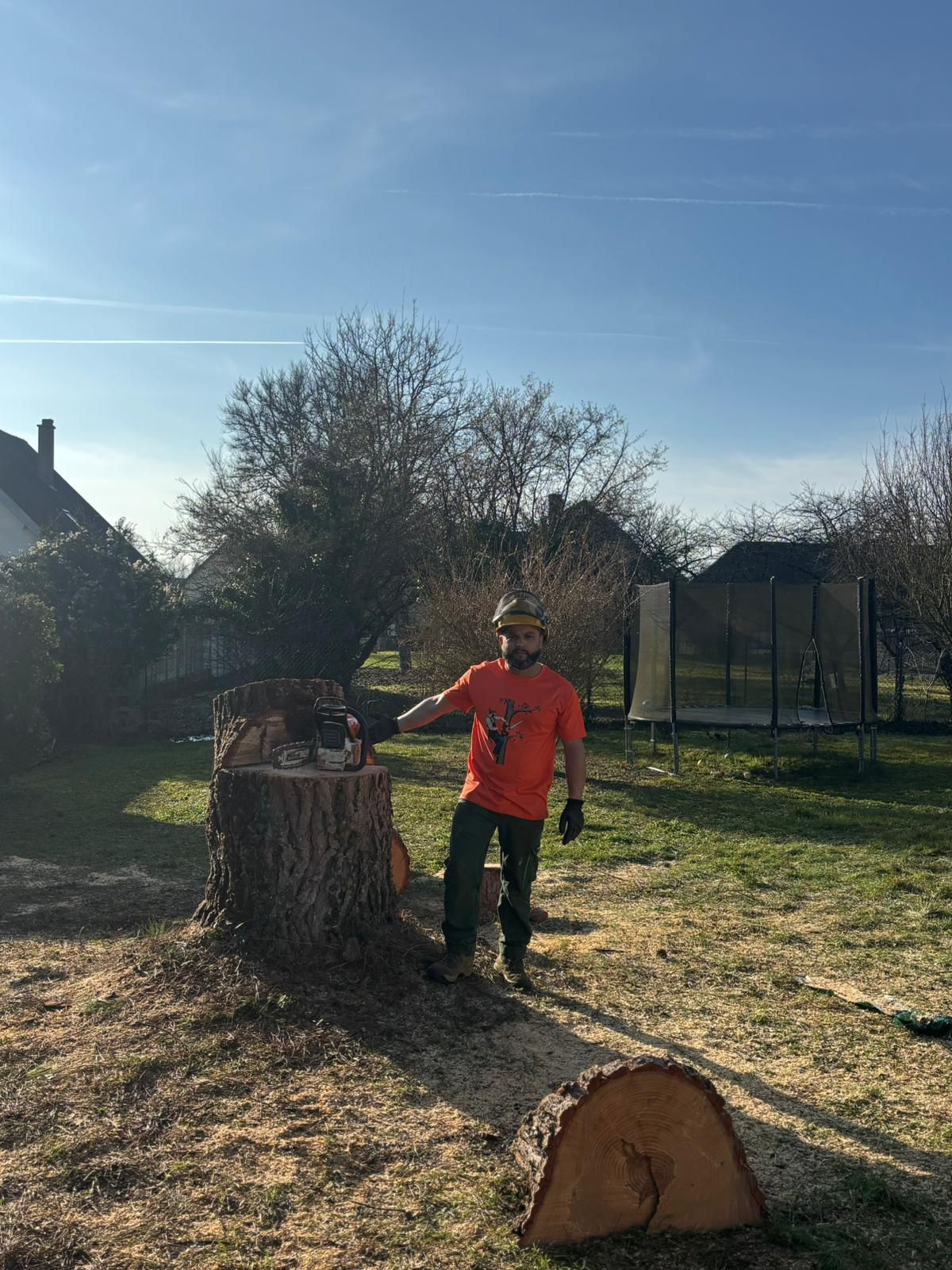 Résultat abattage d'un pin — chantier Jardi'Aube