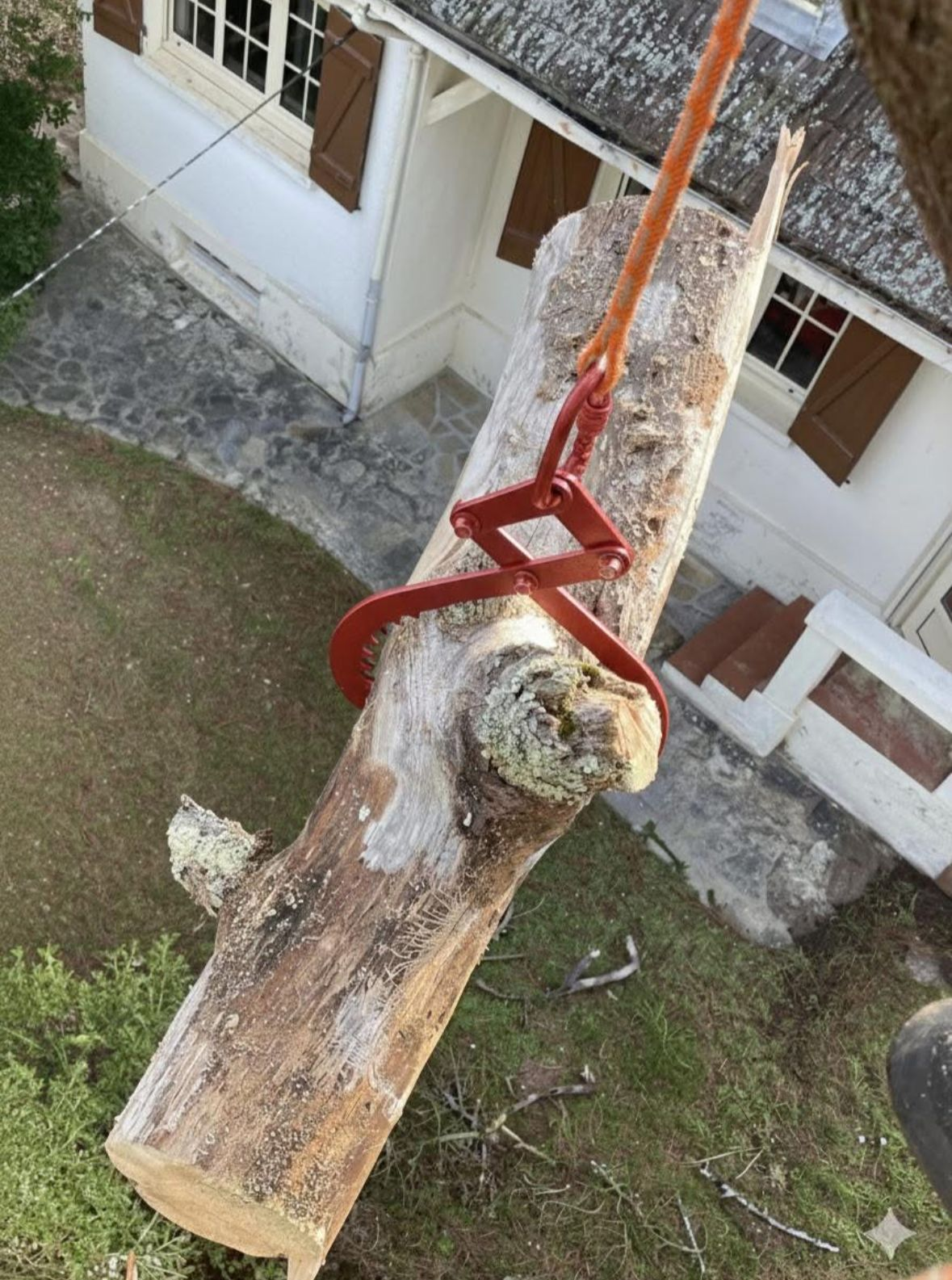 Démontage de branche sécurisé